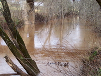 Leading Creek